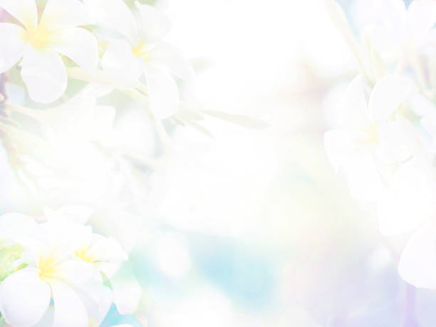 istock Floral abstract pastel background 1163850274