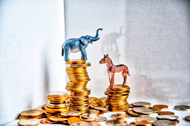 istock donkey and elephant on top of stacked coins 1163850392