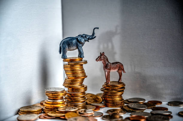 donkey and elephant on top of stacked coins Political representation of parties making money ass horse family photos stock pictures, royalty-free photos & images