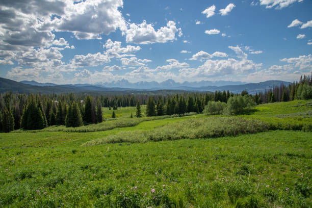 istock First view of Grand Teton National Park 1163853471