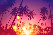 Summer vacation and nature travel adventure concept. Tropical palm tree with colorful bokeh sun light on sunset sky cloud abstract background.
