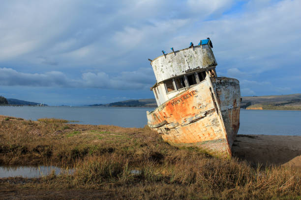 istock Point Reyes Shipwrecks, Marin County, California 1163856482