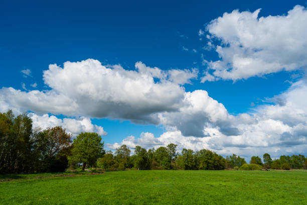 istock while hiking a wonderful view of nature 1163857173