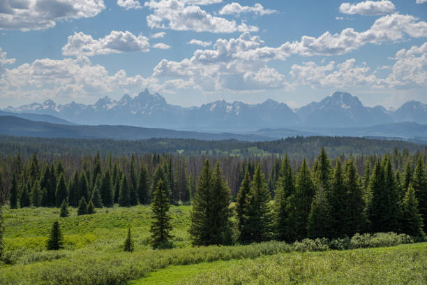 Grand Teton National Park