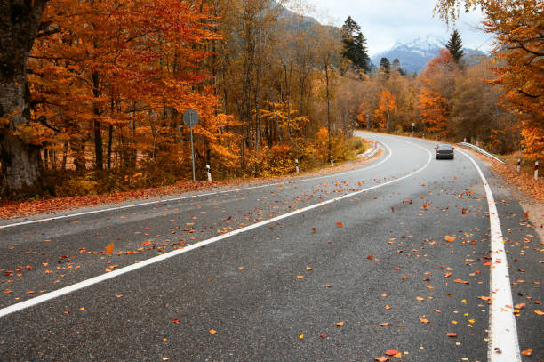 istock Autumn road in forest 1163861771