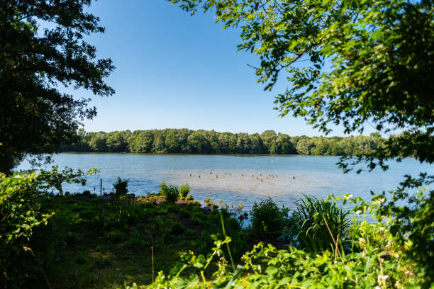istock The water always finds its way through nature 1163864045