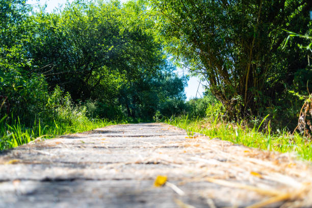 istock while hiking a wonderful view of nature 1163864047