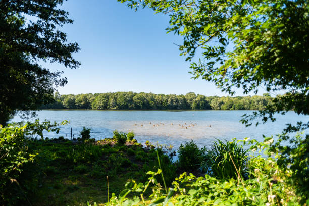istock The water always finds its way through nature 1163864049