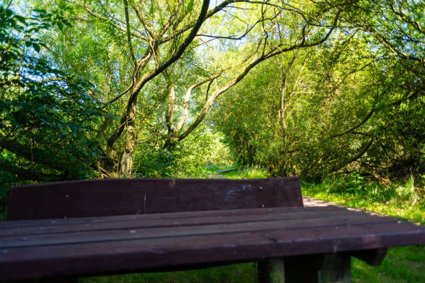 istock while hiking a wonderful view of nature 1163864053