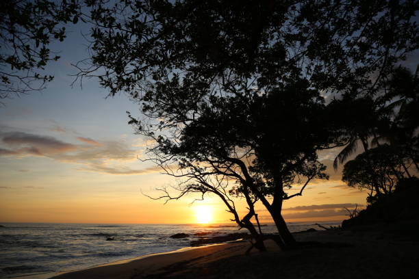 istock costa rica beach sunset 1163864401