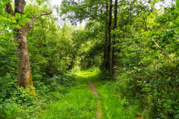 istock while hiking a wonderful view of nature 1163865454