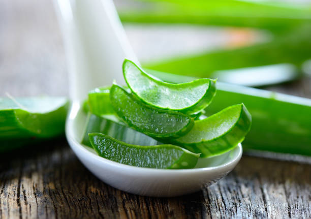istock Aloe vera plant on wooden background 1163865590