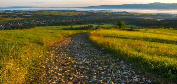 rocky, mountain road leading through green meadows