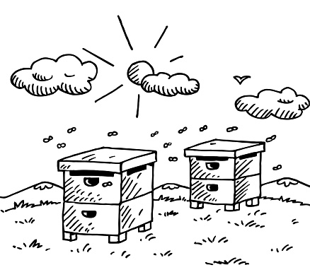 Hand drawn honey bees hive