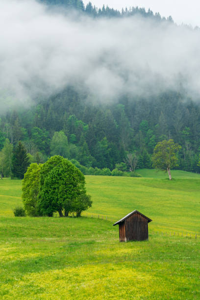 Tiny house in the european Alps in Austria