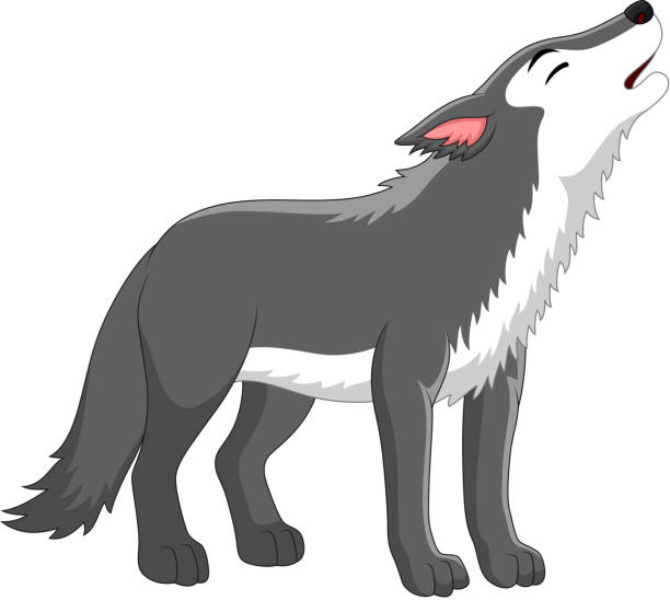 Cartoon Wolf Howling On White Background Stock Illustration - Download  Image Now - Wolf, Cartoon, Coyote - iStock