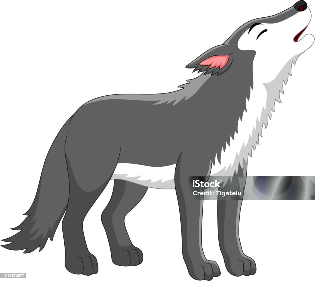 Hoạt Hình Sói Hú Trên Nền Trắng Hình minh họa Sẵn có - Tải xuống ...