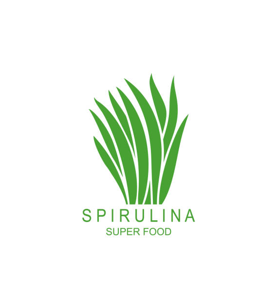 ilustrações, clipart, desenhos animados e ícones de logotipo subaquático da espirulina da alga. espirulina subaquática isolada da alga no fundo branco - spirulina bacterium seaweed food clipping path