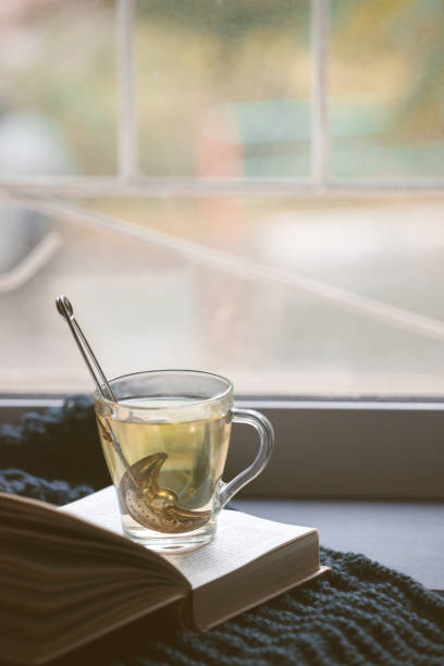 istock Cosy and soft winter, autumn, fall background, knitted decor and books on an windowsill. Christmas holidays at home, calmness closeup, weekend concept 1163874010