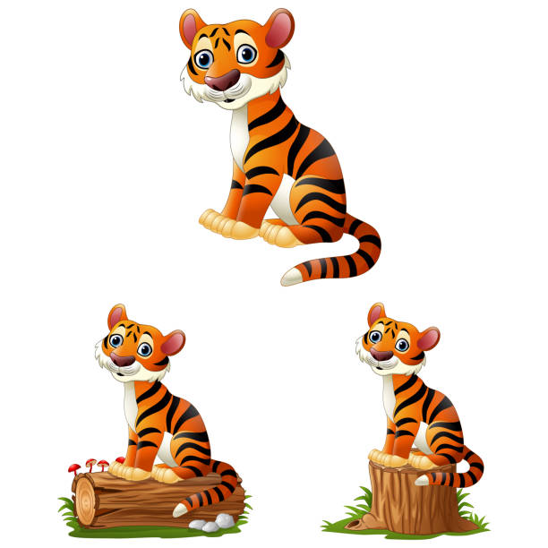 ilustrações, clipart, desenhos animados e ícones de tigre dos desenhos animados que senta-se no registro - seated tiger