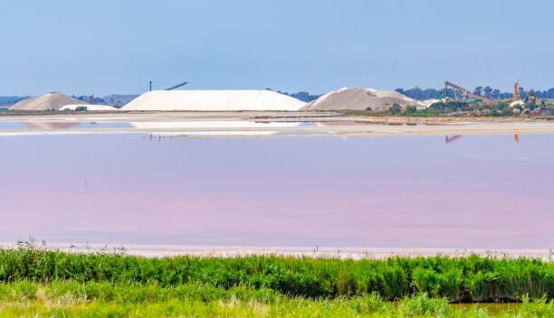 istock Saline in the Camargue 1163876761