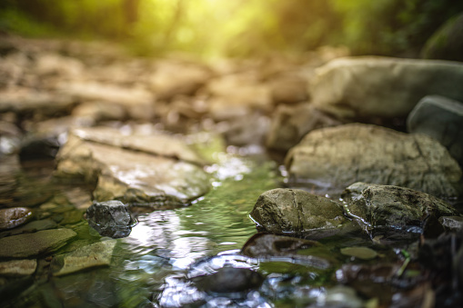 Stream in the forest, Jing'an, China