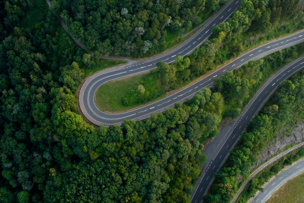 istock Winding road through the forest at dusk - aerial view 1163878893