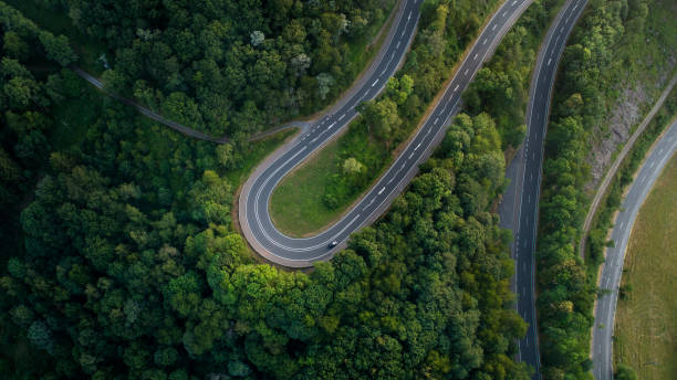 istock Winding road through the forest at dusk - aerial view 1163878916