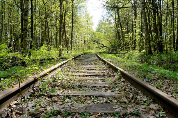 Old rusty rails of an abandoned railway. View into the distance. Rails overgrown with grass, bushes. Concept of abandonment, the victory of nature over industry
