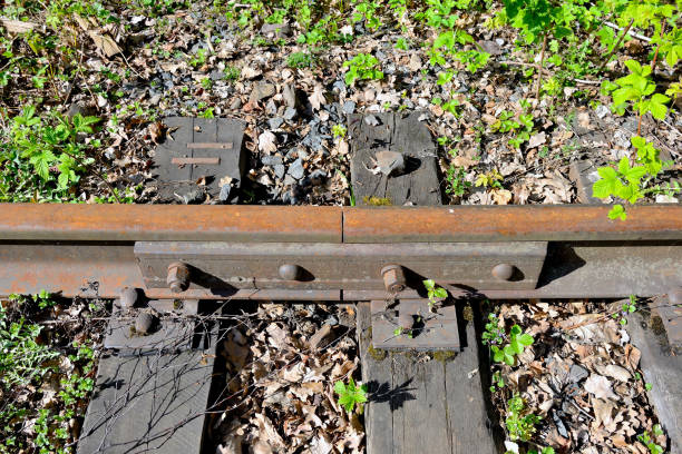 istock Old rusty rails of an abandoned railway. Side view 1163881346