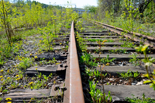 istock Old rusty rails of an abandoned railway 1163881484