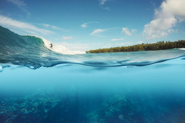 half underwater shot of surfer surfing a wave in Indo half underwater shot of surfer surfing a reef break wave in Indonesia halved stock pictures, royalty-free photos & images