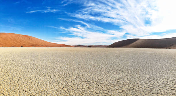Breathtaking Dead Vlei Mud Plain Panoramic Breathtaking Dead Vlei Namibian Desert Landscape Scenery Dead Vlei Dooievlei Sossusvlei Namibian Desert Namibia Africa namib sand sea stock pictures, royalty-free photos & images