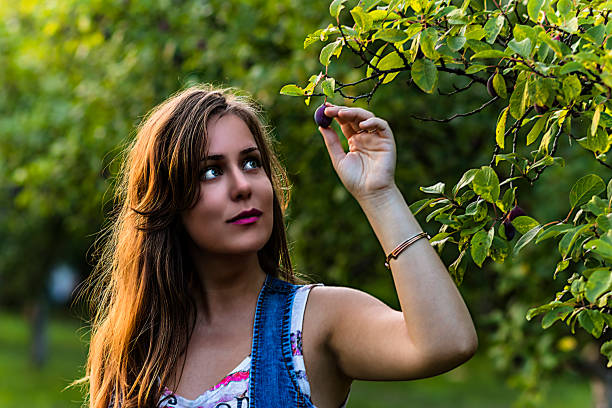 istock Beautiful Woman Picking Ripe Plums From Tree 1163888699
