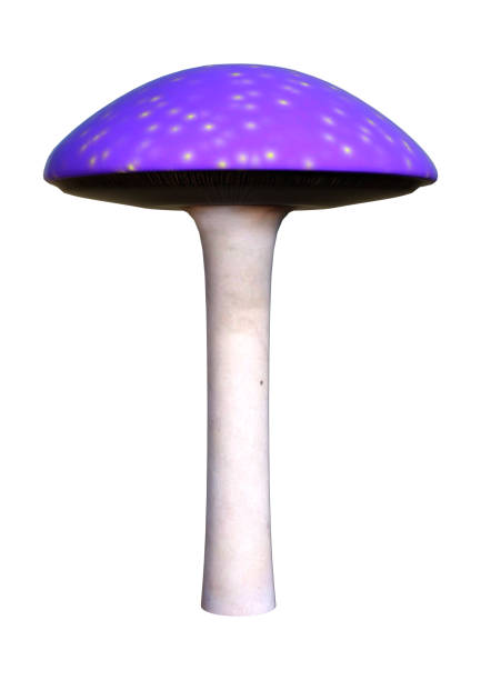 istock 3D illustration mushroom on white 1163889858