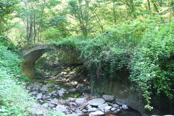 istock river and waterfall in Casentino park 1163891265