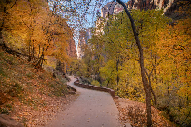 istock Zion national park in Autumn with yellow tree leaves 1163891321