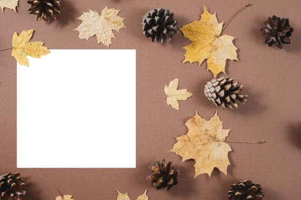 istock Autumn composition. Bumps, autumn maple leaves and white frame on brown background. Flat lay, top view, copy space 1163891874