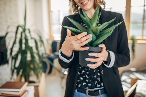 istock Lady holding a cactus plant for her new apartment 1163893142