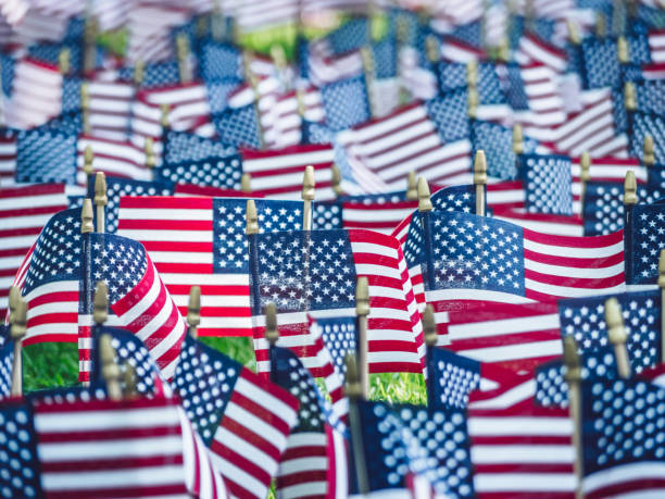 istock Independence Day in the park 1163893164