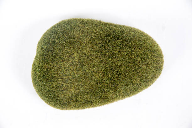 istock Fake green mossy stones 1163896689