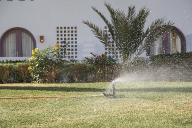 istock automatic lawn irrigation system in the park. sprinkling the grass and plants 1163896880