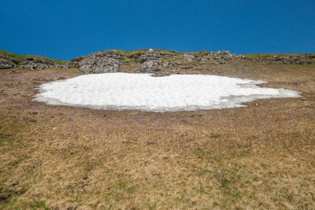Summer view with snow in Bucegi Mountains,  Bucegi national park,  sunny day,  clear sky with few clouds