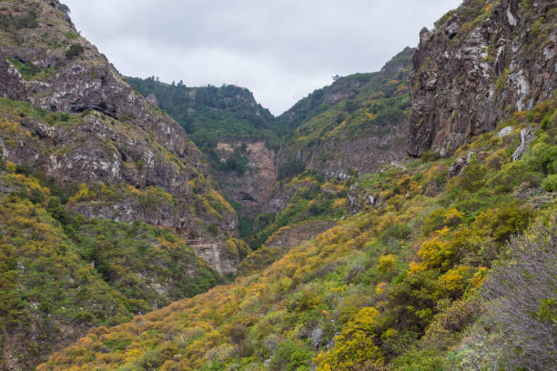 istock Ravine of Ruiz. 1163902714