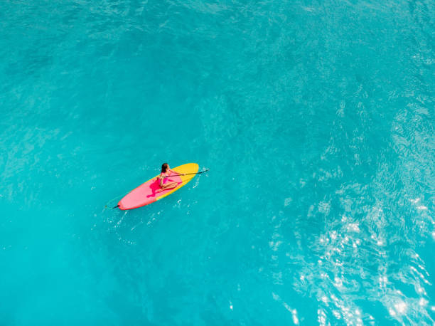 aerial view of woman on stand up paddle board in blue ocean. - women paddleboard bikini surfing imagens e fotografias de stock