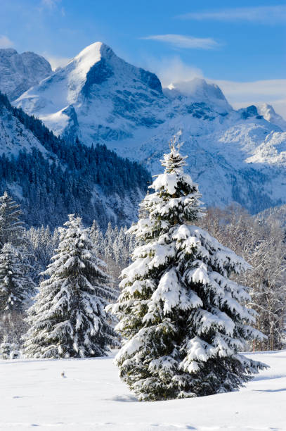 romantyczny krajobraz na zimę w bawarii, niemcy - zugspitze mountain bavaria mountain germany zdjęcia i obrazy z banku zdjęć