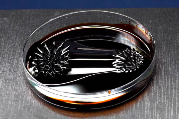 hermosas formas de fluido ferromagnético. hierro disuelto en un liqu - ferrofluid fotografías e imágenes de stock
