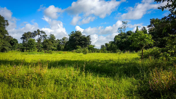 istock Nature Landscape with blue sky and clouds 1163906061
