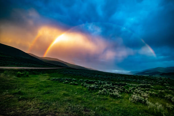 istock Rainbow at scene of wolves on bison carcass 1163909023