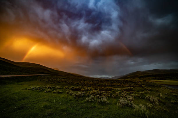 istock Rainbow at scene of wolves on bison carcass 1163909207
